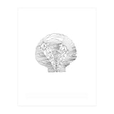 Salt&surf Scallop Waves (Print Only) thumbnail