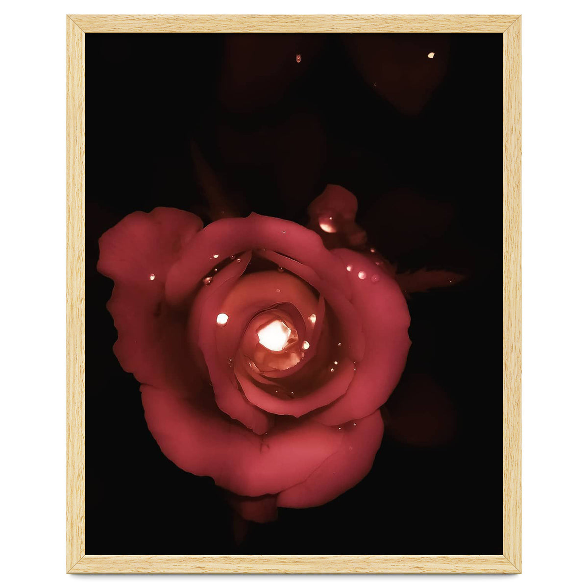 Lighting Rose