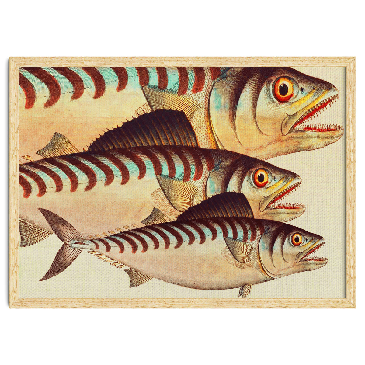 Fish Classic Designs 8