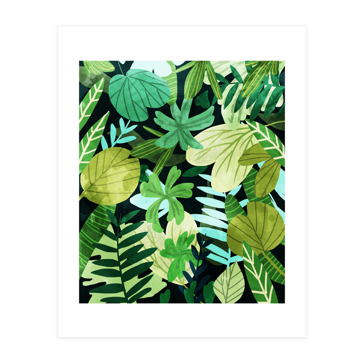 Rainforest Ii (Print Only)