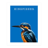 Kingfisher (Print Only) thumbnail