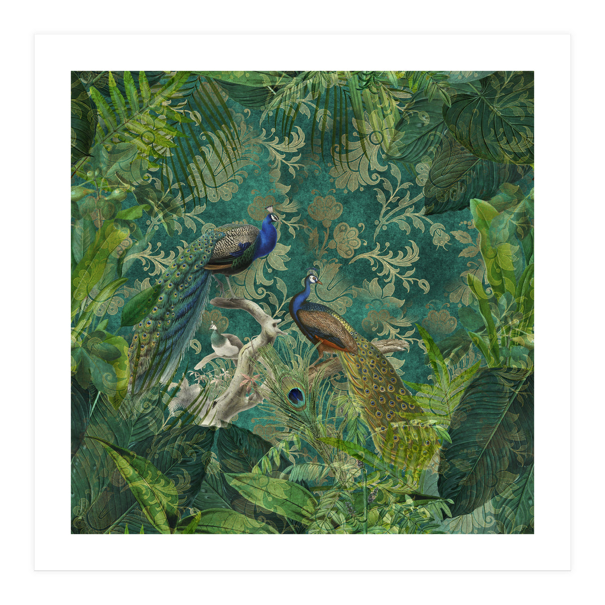 Mystic Peacocks (Print Only)