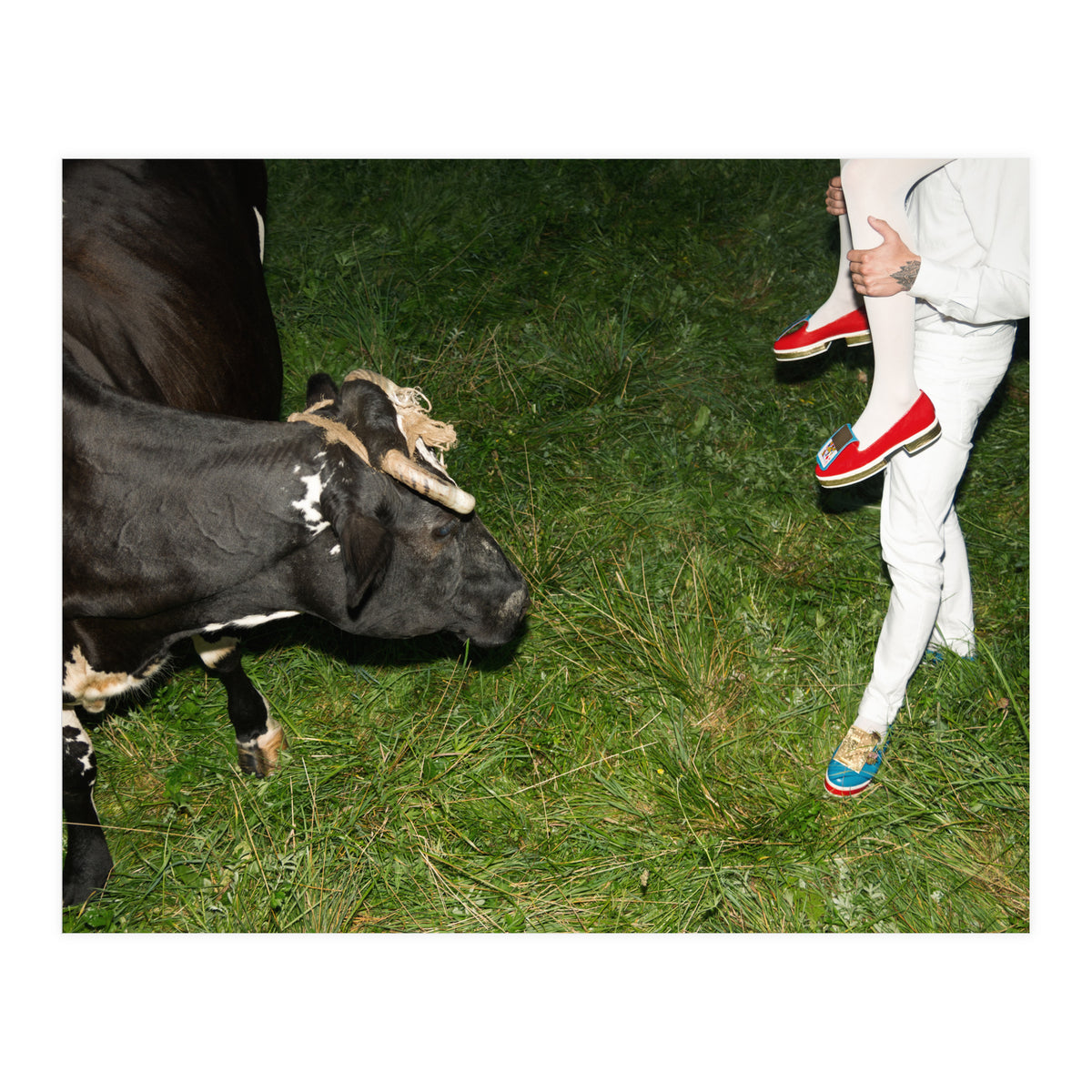 Moo means No (Print Only)