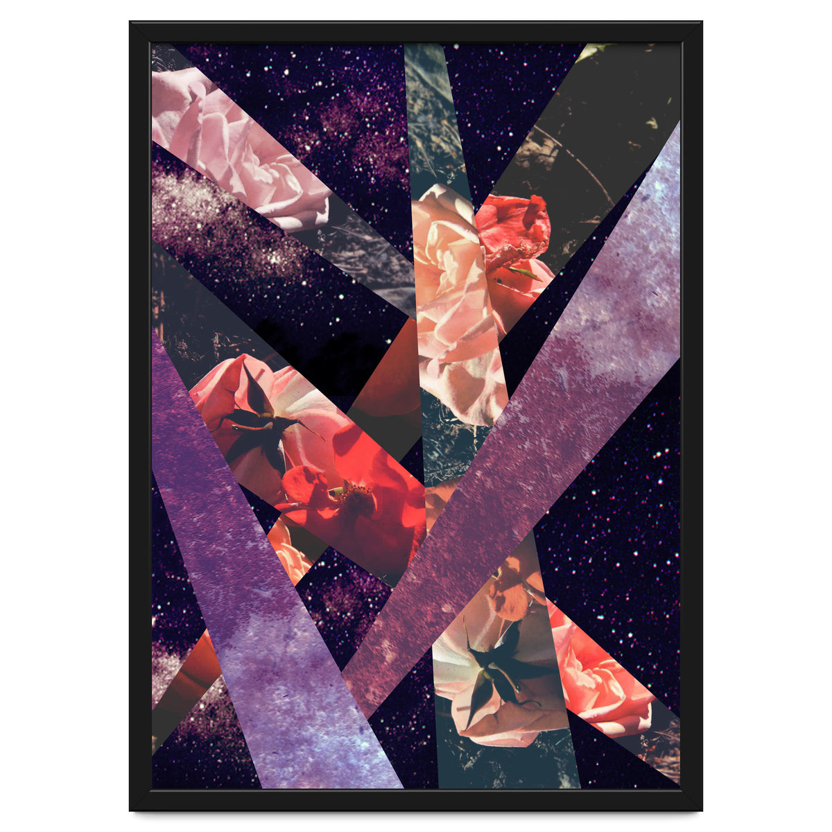 Roses In The Galaxy