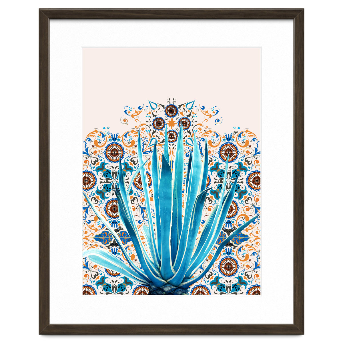 Cactus and Moroccan tiles