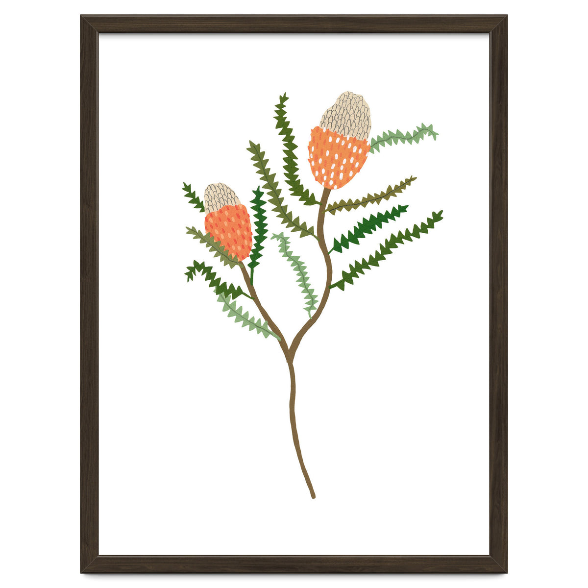 Banksia Flowers