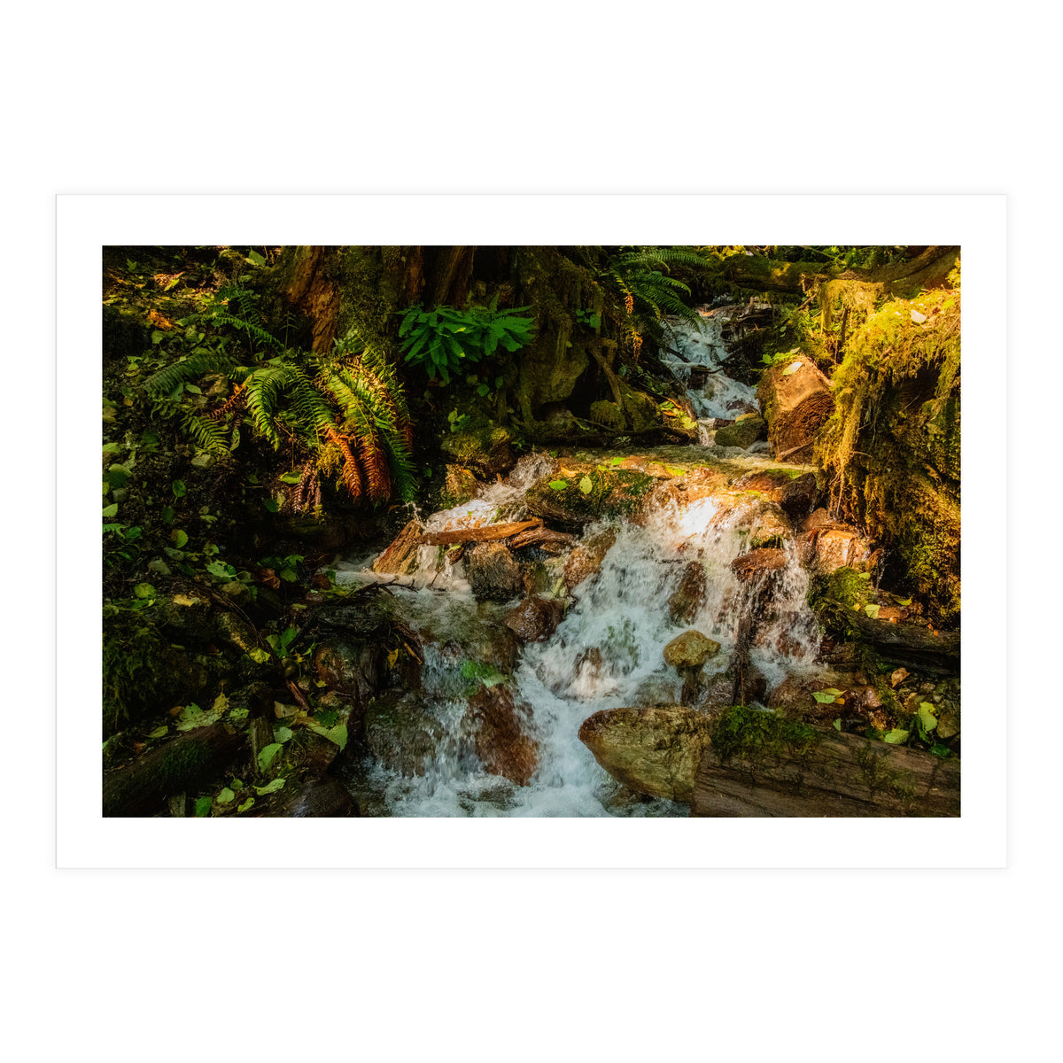Baker Waterfall (Print Only)