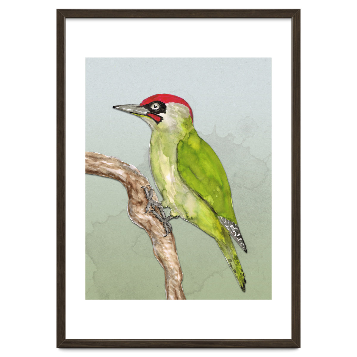 Green woodpecker