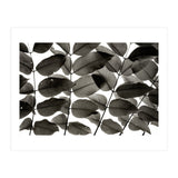 Branches and Leaves I (Print Only) thumbnail