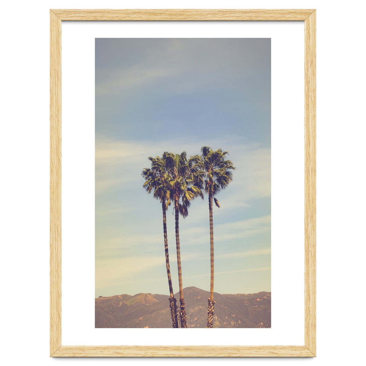 Summer in Los Angeles