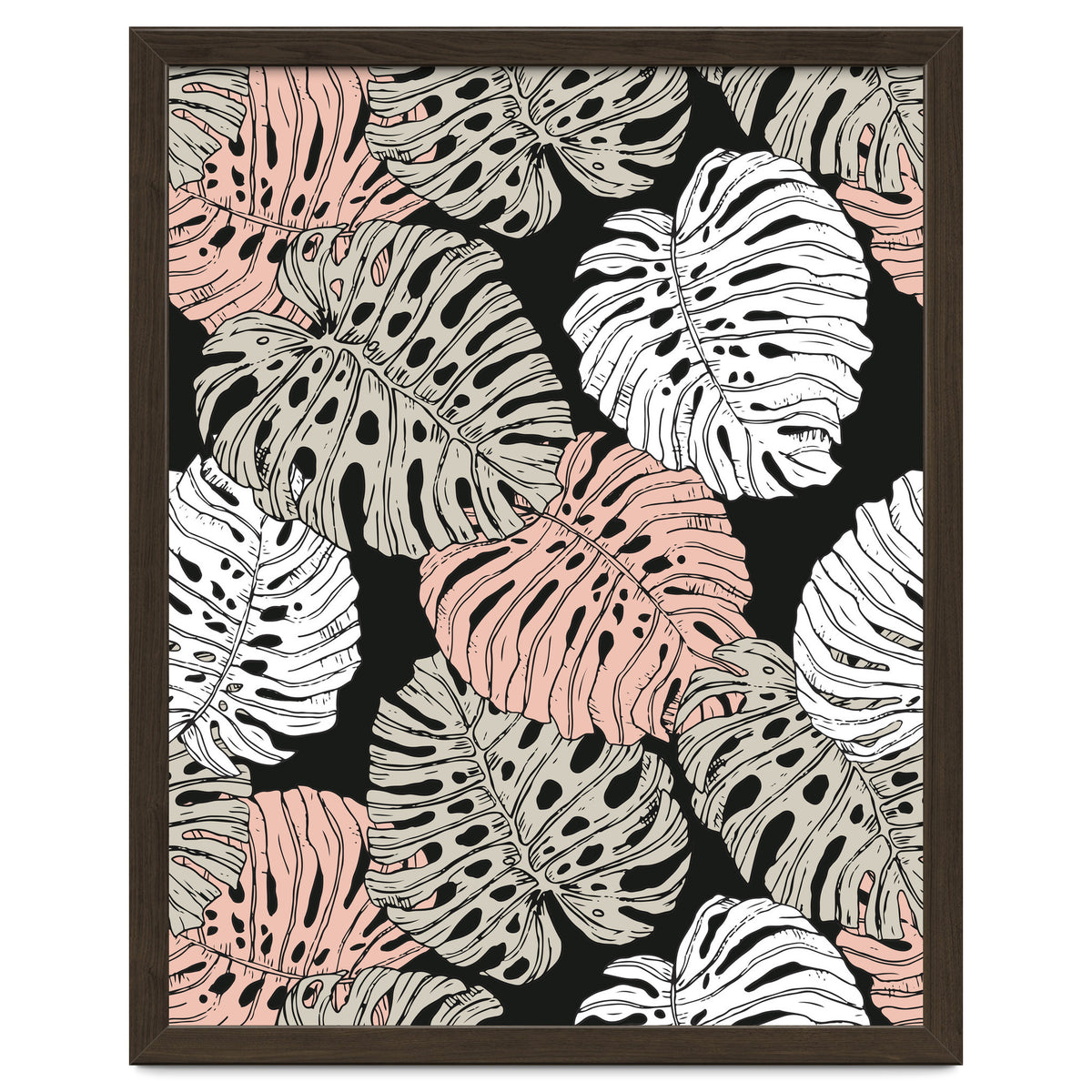 Monstera in the darkness of the jungle