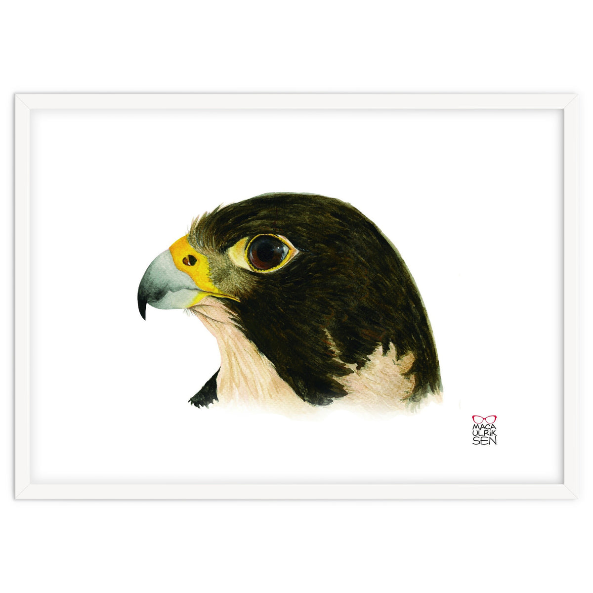 Peregrine falcon