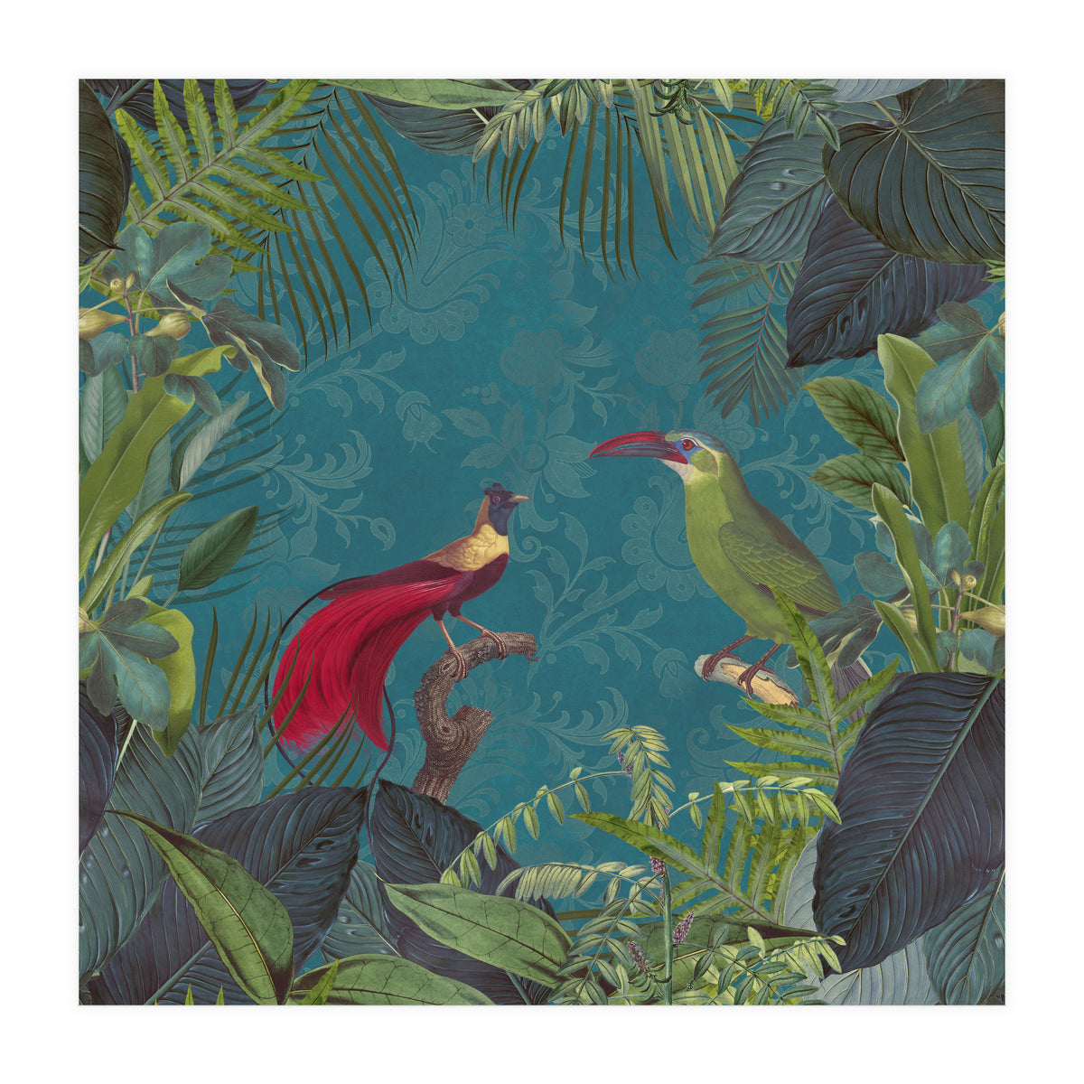 Birds Of Paradise (Print Only)