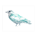 Teal Raven (Print Only) thumbnail