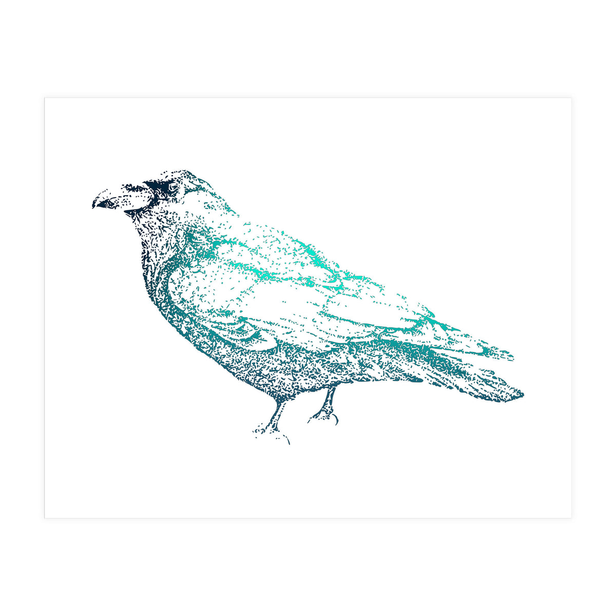 Teal Raven (Print Only)