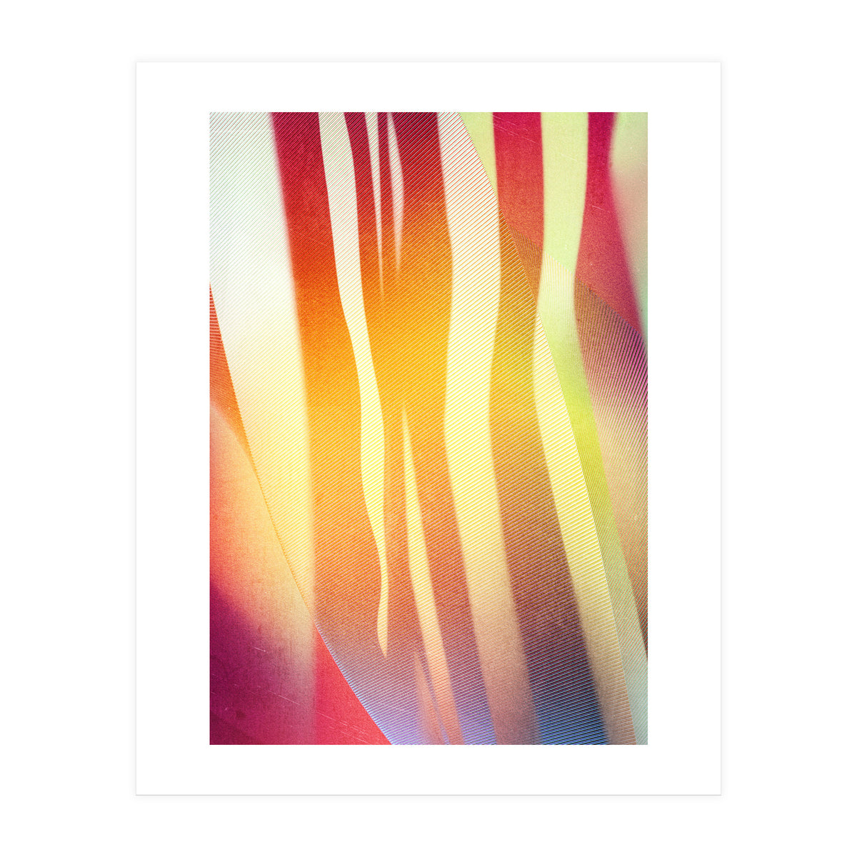 Carnival 2 (Print Only)