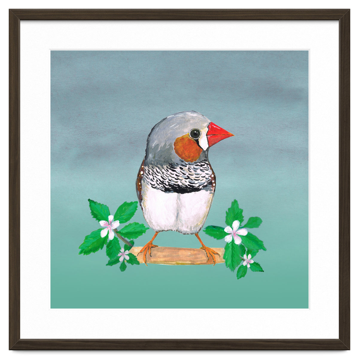Zebra finch
