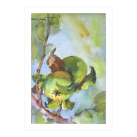 Apples on a branch (Print Only)