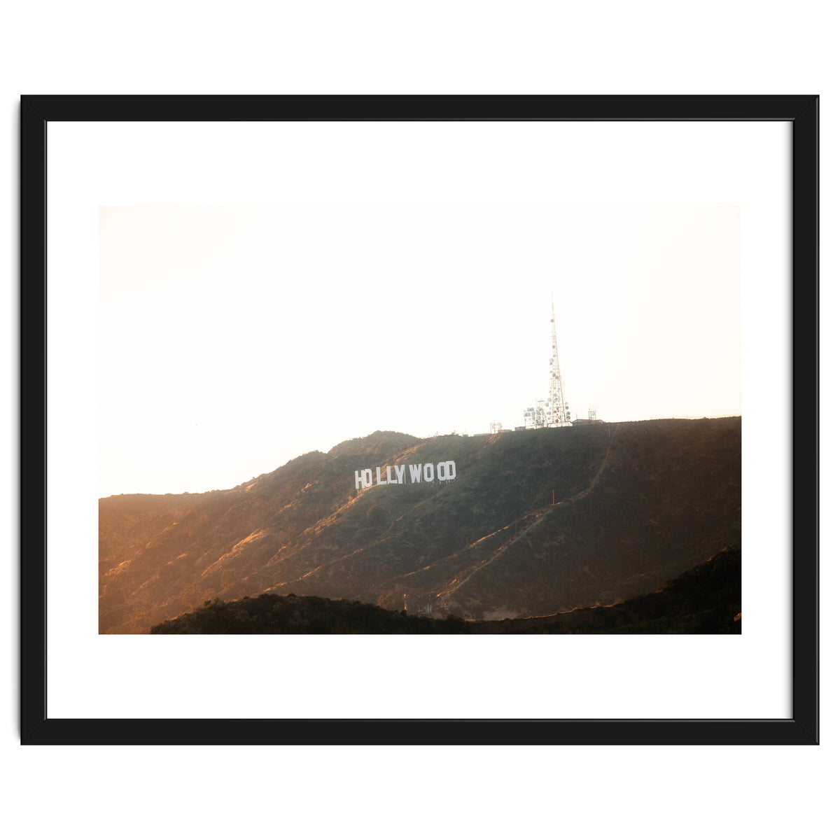 Hollywood Gold x Hollywood Sign California