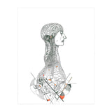 Anatomy (Print Only) thumbnail