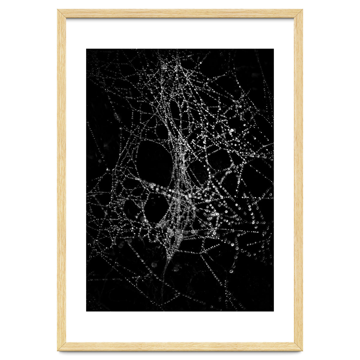 Spiderweb No 4