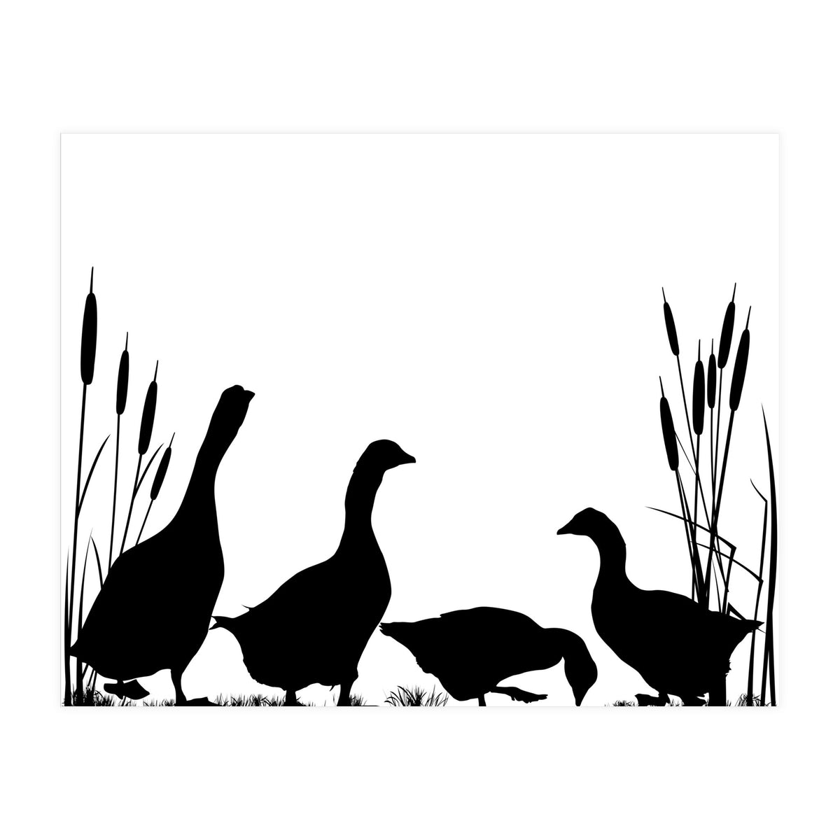Goose talk (Print Only)