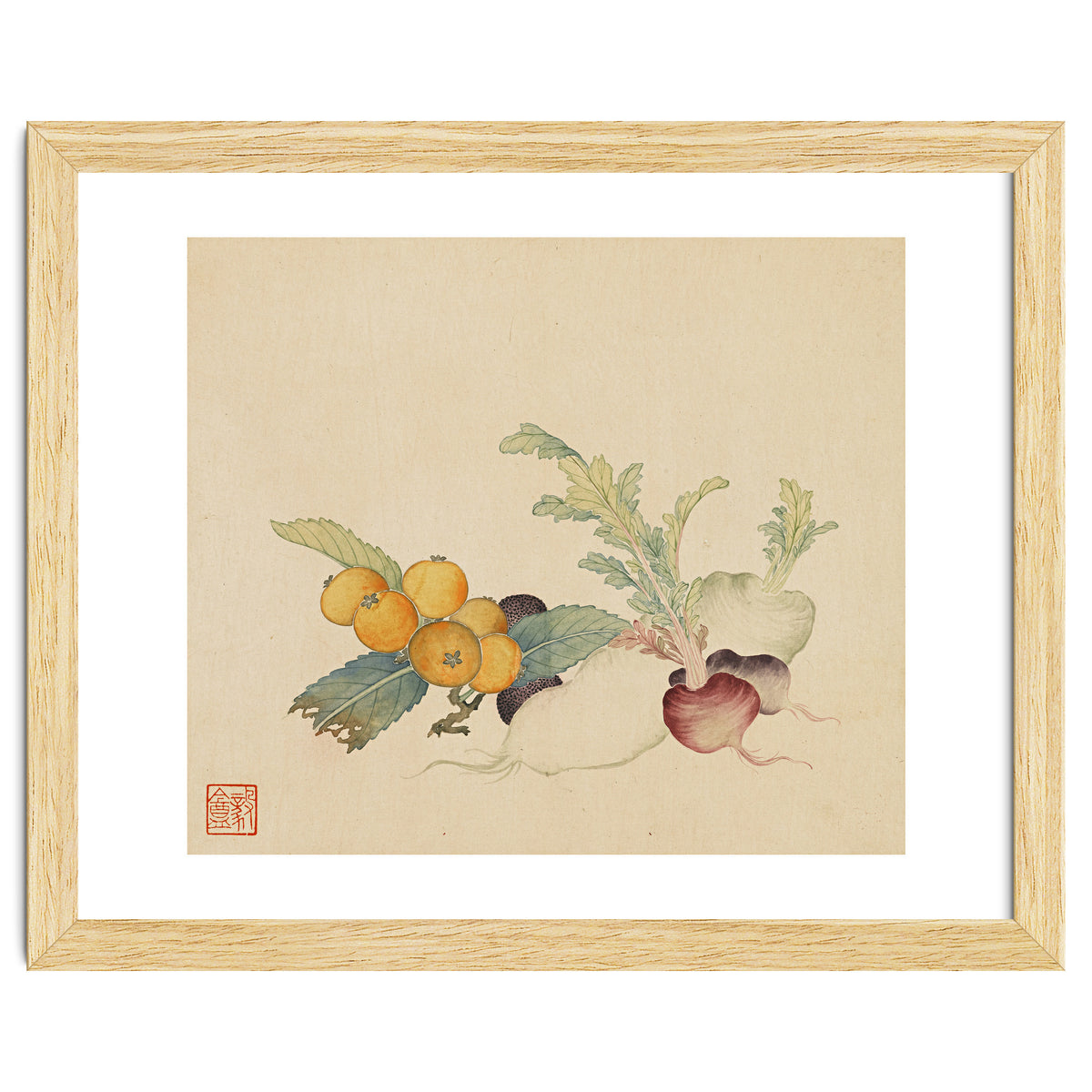 Wang Chengpi~flowers And Vegetables, Vegetables, Fruits, Loquat, White Radish, Carrot, Radish