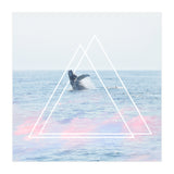 Whale of a Time (Print Only) thumbnail