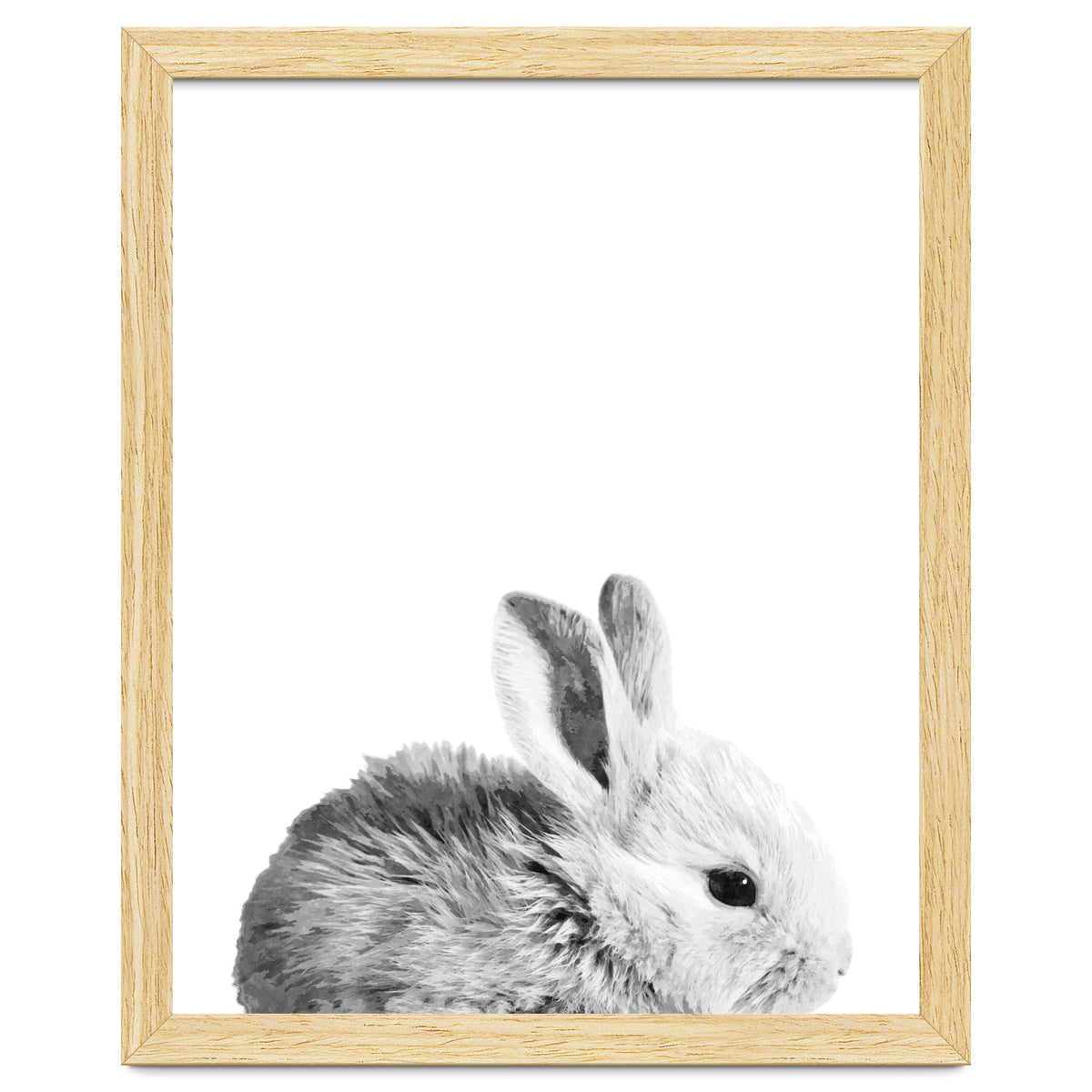 Black and White Bunny Portrait