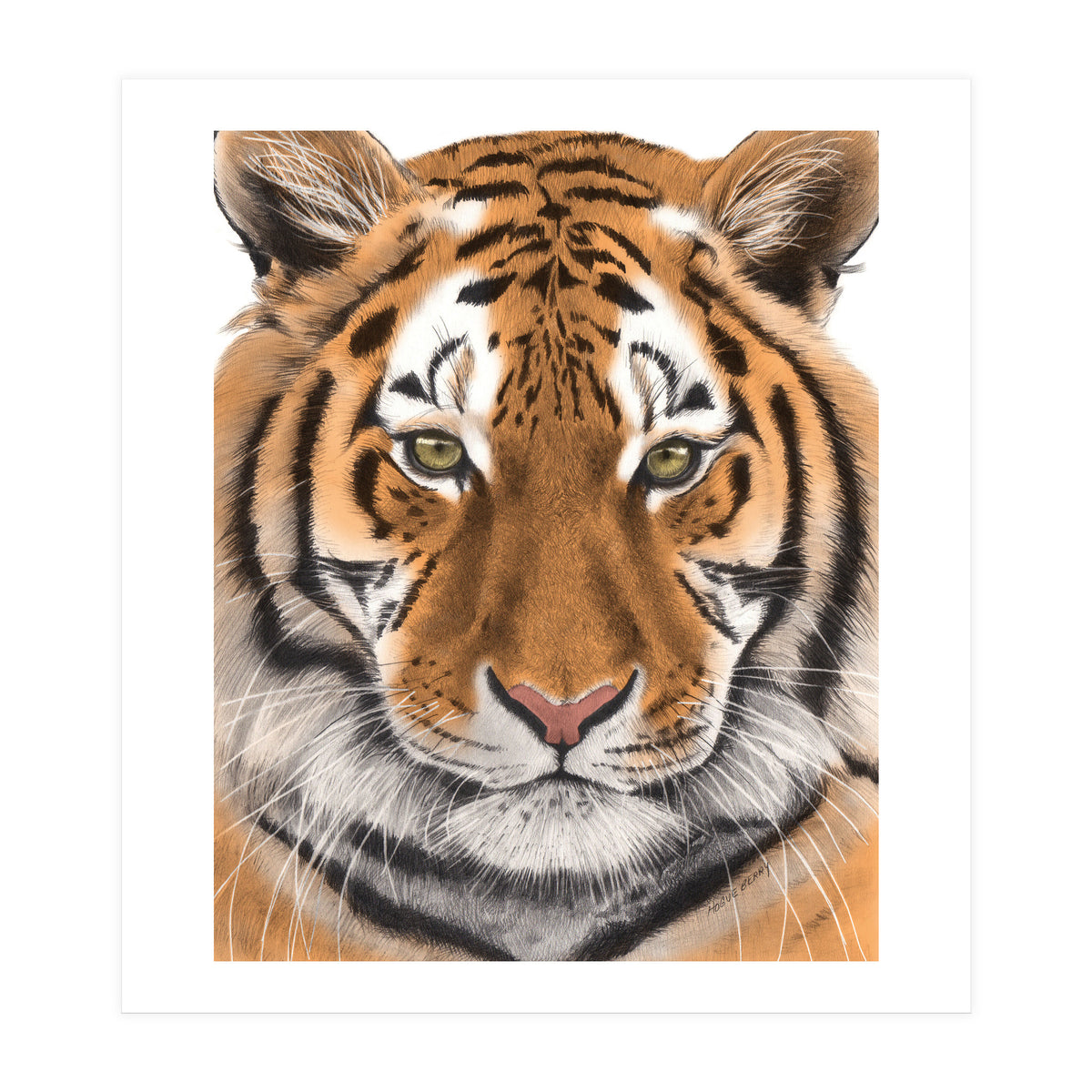 Tiger (Print Only)