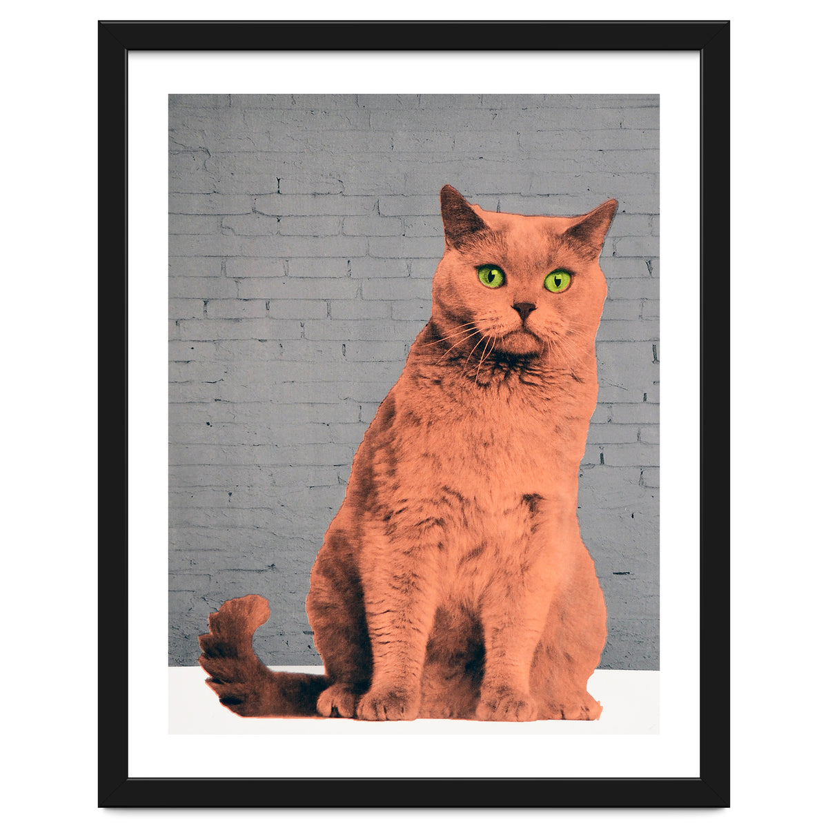 Everybody Wants To Be A Cat