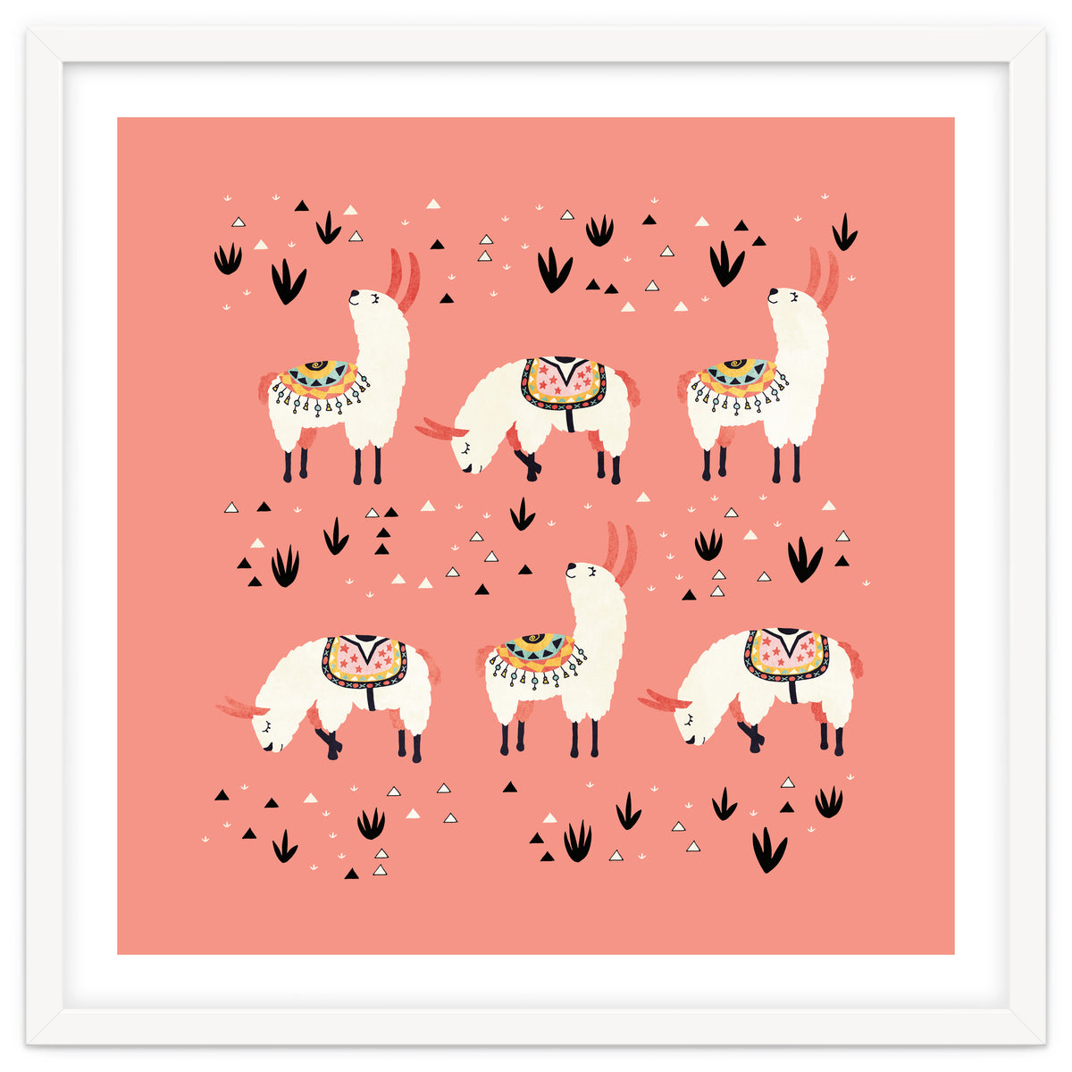 White Llamas In Pink Desert