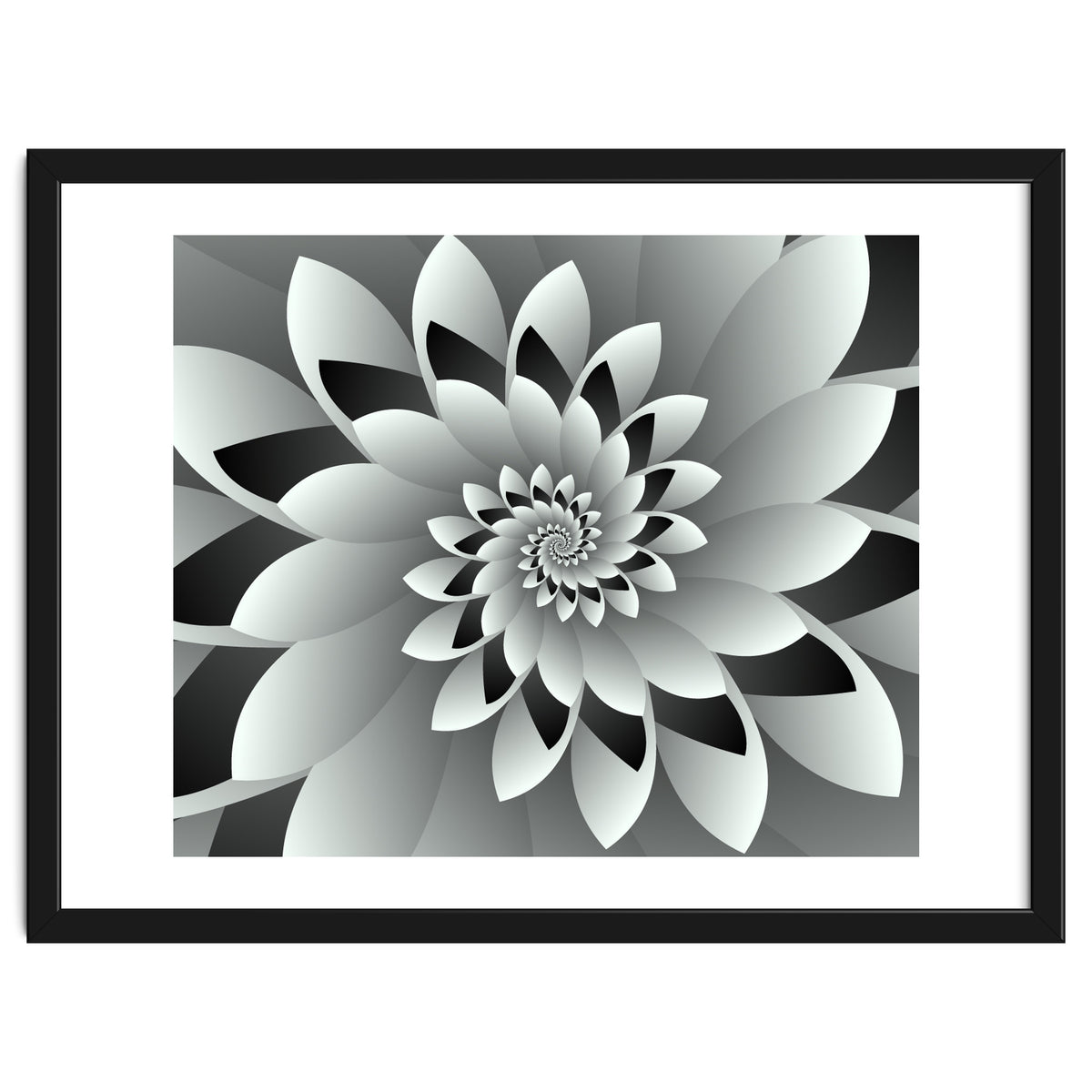 Black & White Floral