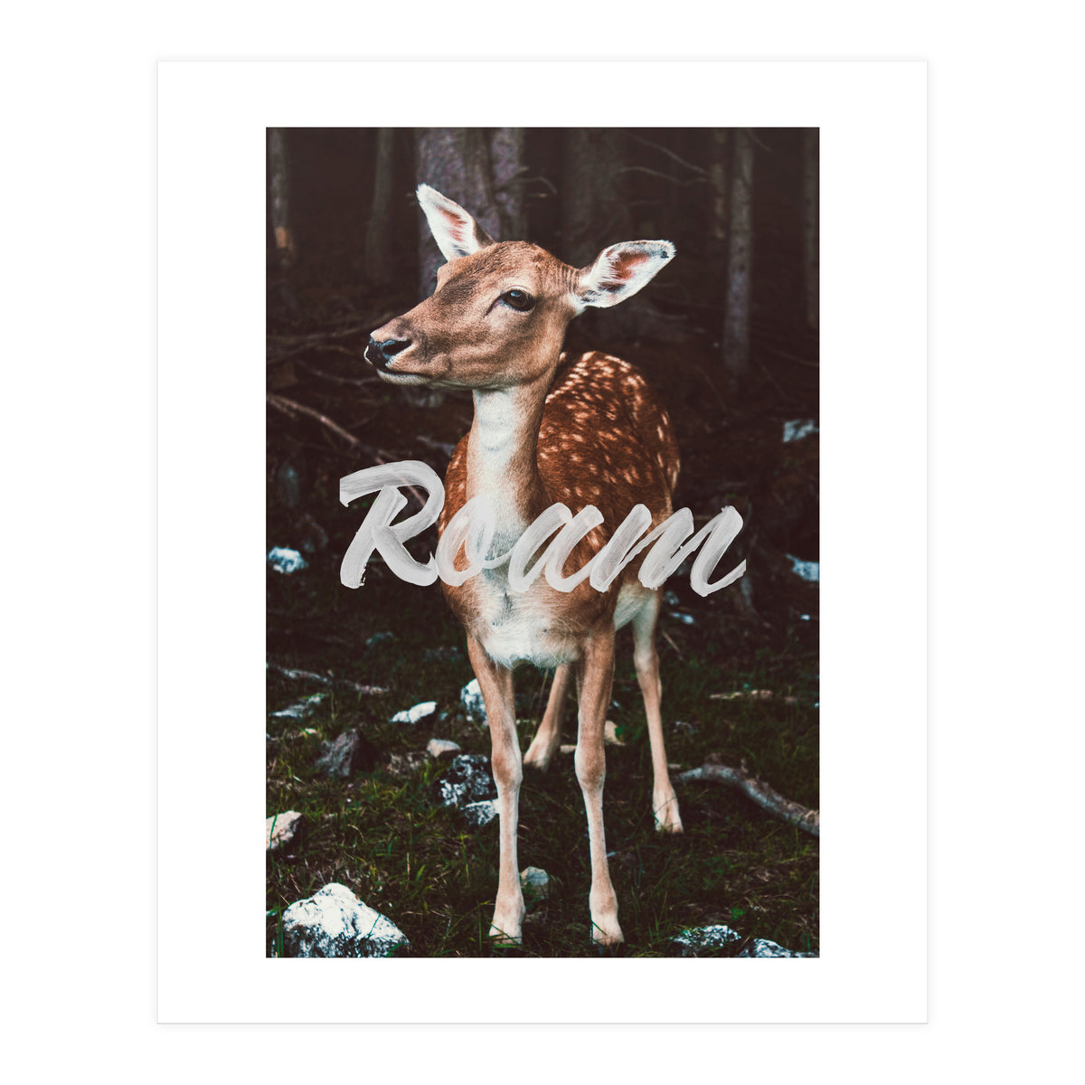Roam (Print Only)