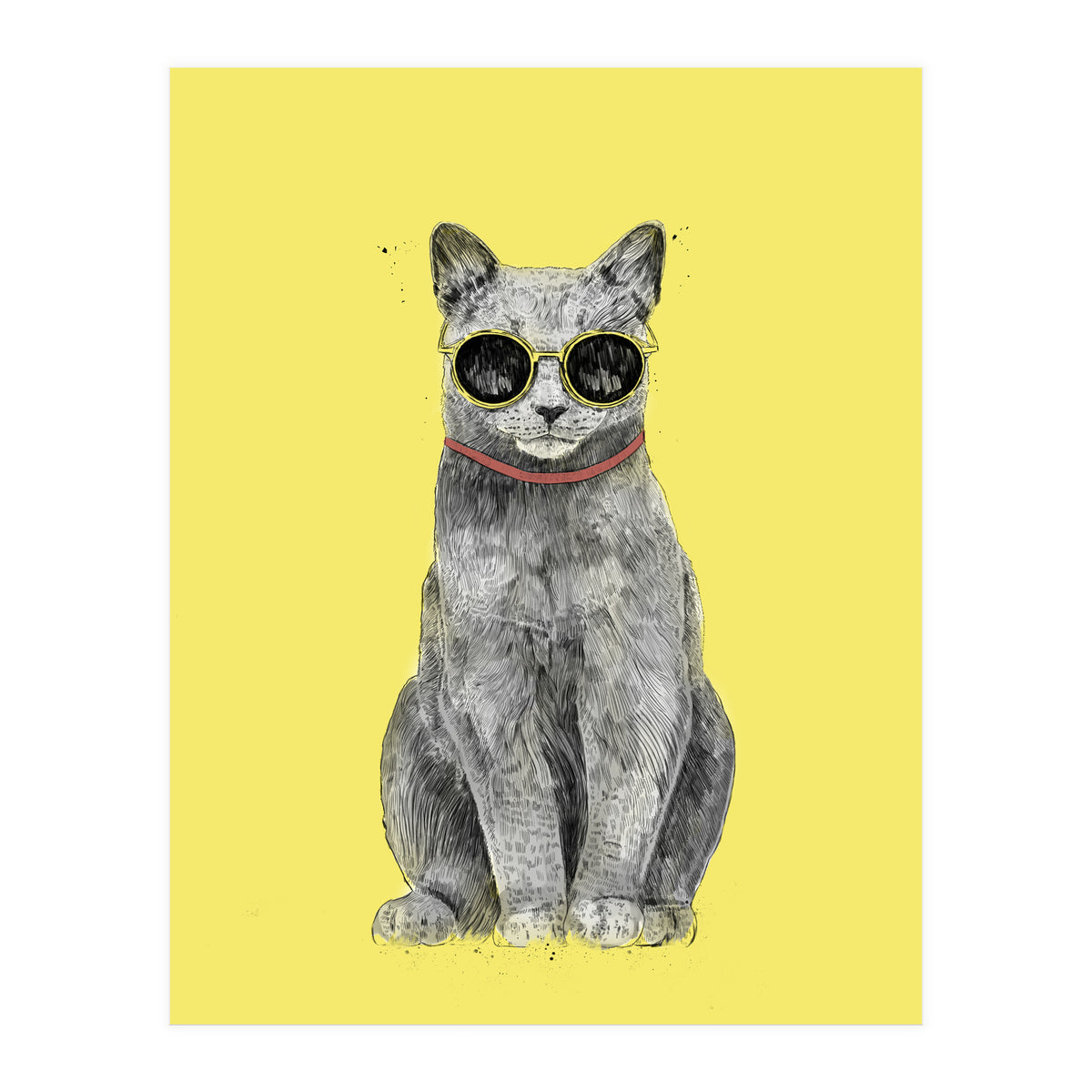 Summer Cat (Print Only)
