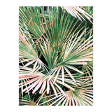 Palms II (Print Only) thumbnail
