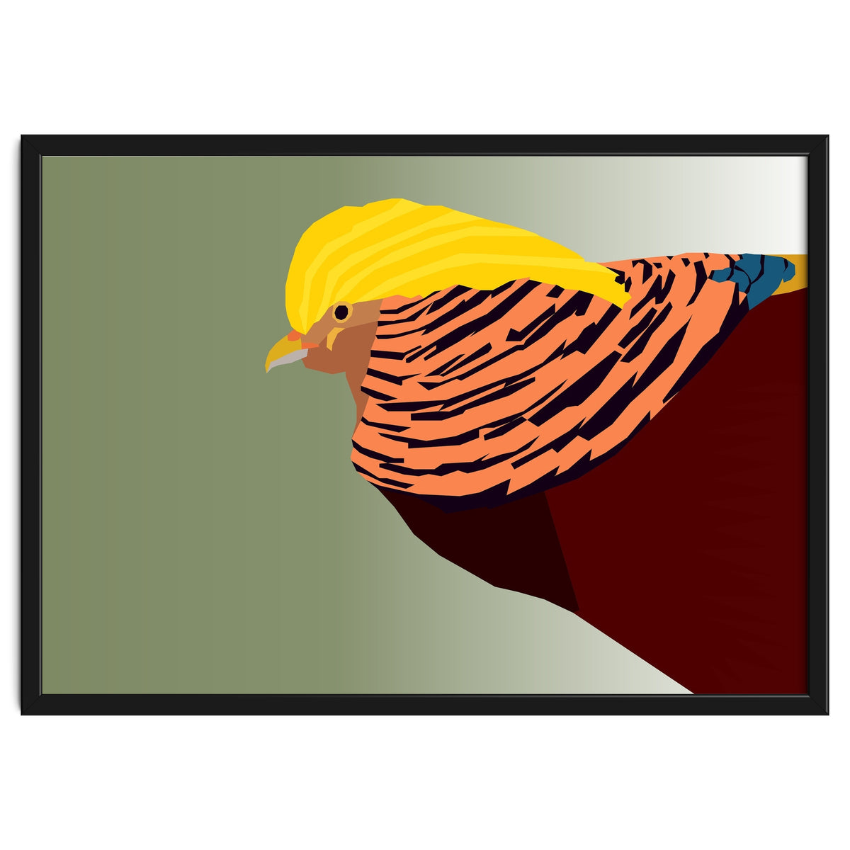 Golden Pheasant Bird Art