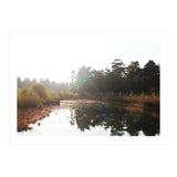 Bog (Print Only) thumbnail