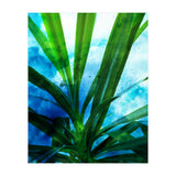 Remixed Spirit V1 (Print Only) thumbnail