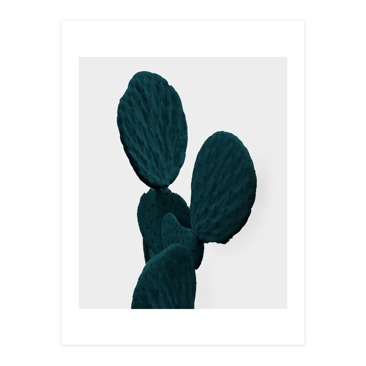 Cactus Art (Print Only)