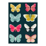 Lepidoptery Study No. 2 (Print Only) thumbnail