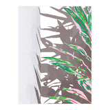 Plant & Shadow (Print Only) thumbnail