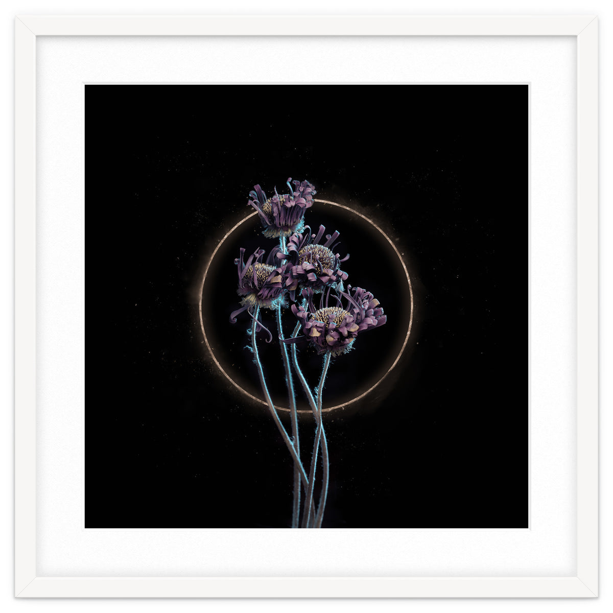 Candy-Coloured Mystery