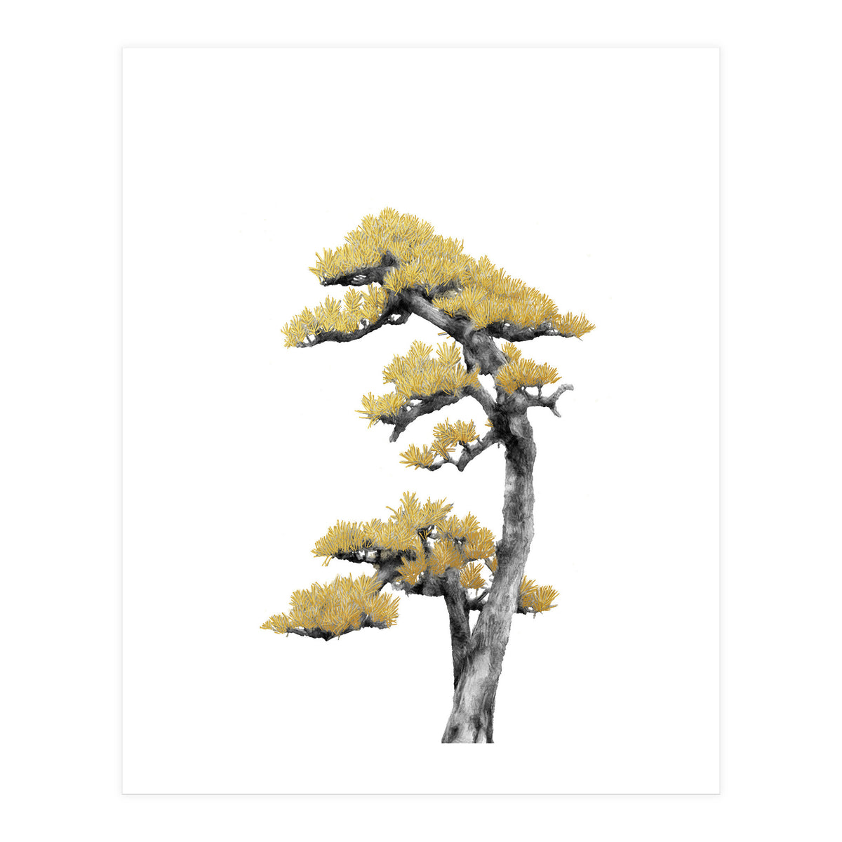 Bonsai Tree 04 (Print Only)