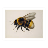 Bumblebee Vintage Illustration (Print Only) thumbnail