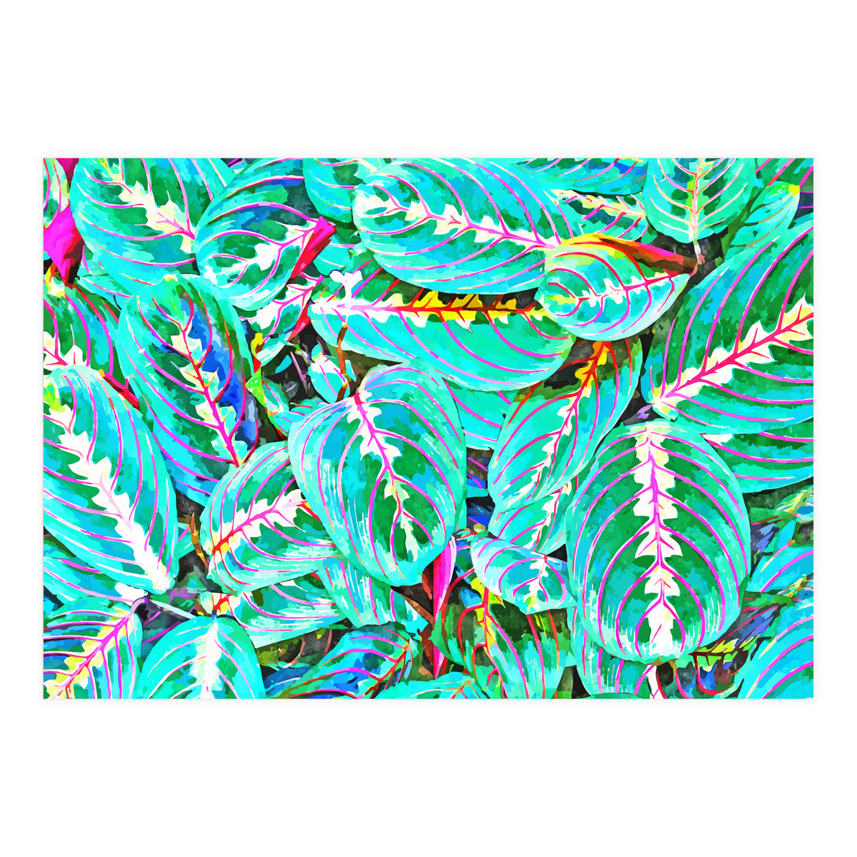 Let's find a beautiful place to get lost (Print Only)