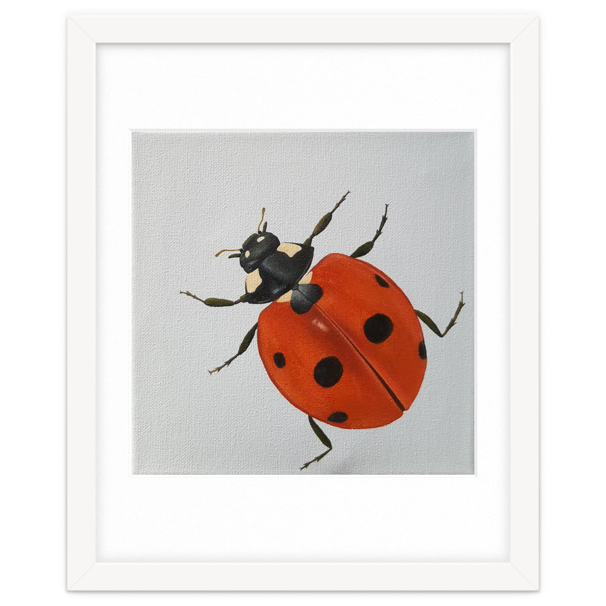 Ladybird