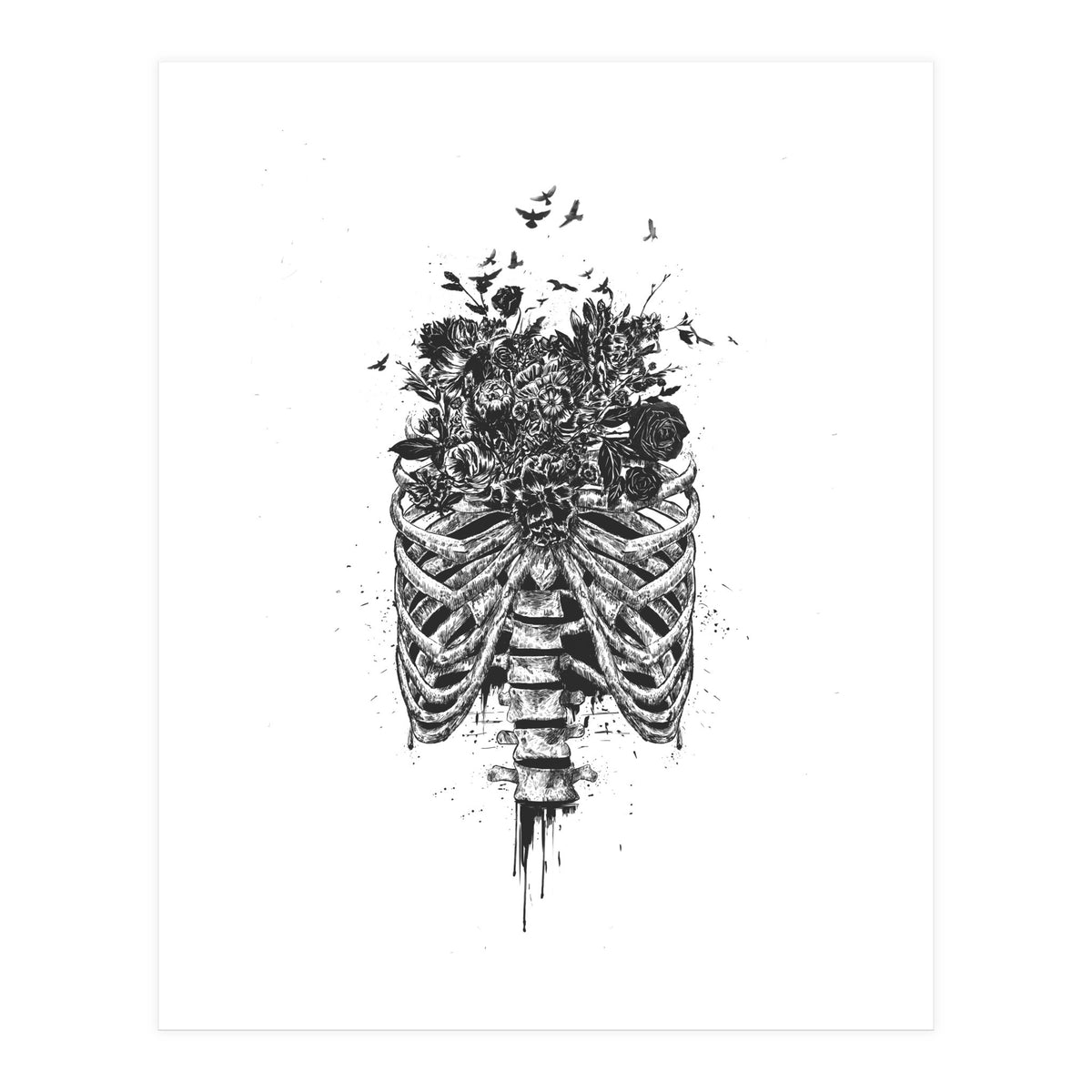 New Life Bw (Print Only)