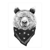 Wild Bear (Print Only) thumbnail