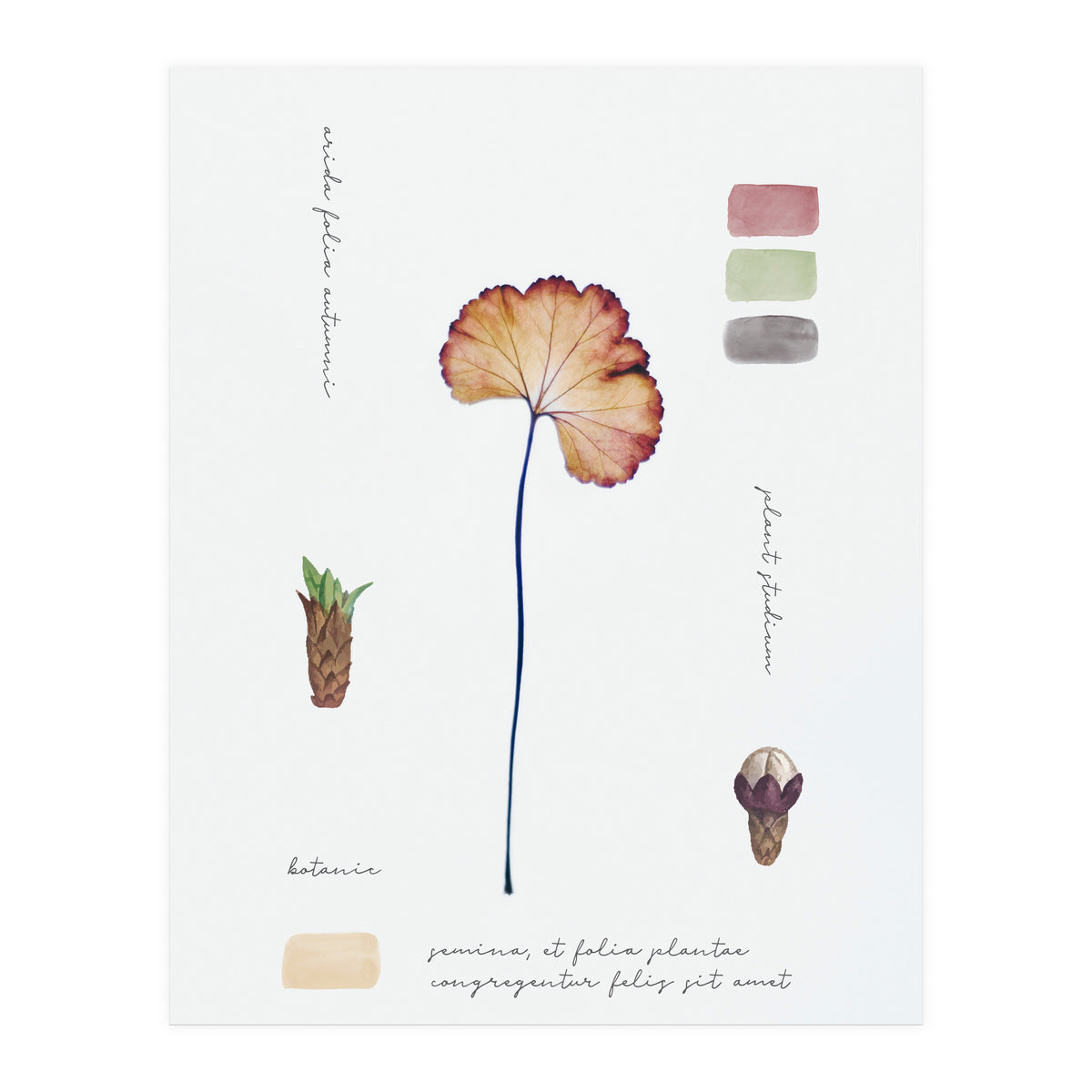 Botanical Notes (Print Only)